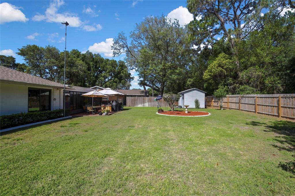 A backyard features a grassy lawn, a patio with umbrellas, a shed, and a fence — 9045 GAYNOR STREET, SPRING HILL, FL