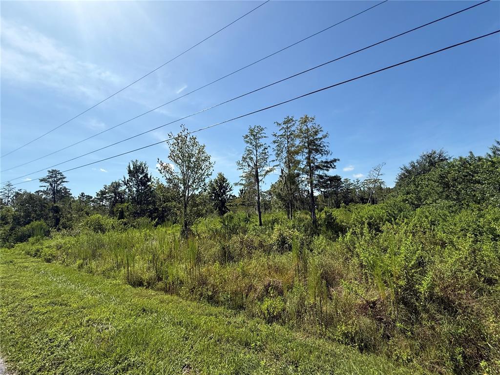 9370 ATLAS DRIVE, ST CLOUD, FL — photo 4 of 12
