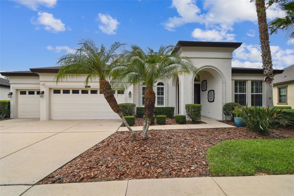 8413 SWISS CHARD CIRCLE