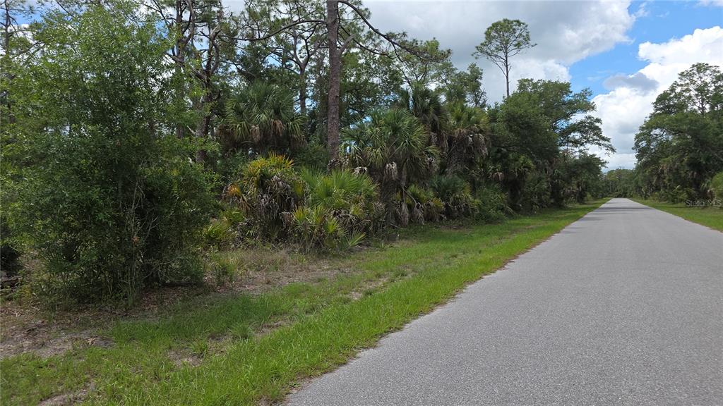 A paved road runs alongside a wooded lot with palm trees and native vegetation — 1064 BORDER STREET, PORT CHARLOTTE, FL