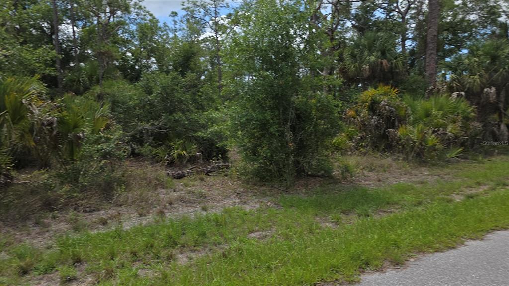 A wooded, undeveloped lot with native Florida vegetation sits beside a paved road — 1064 BORDER STREET, PORT CHARLOTTE, FL