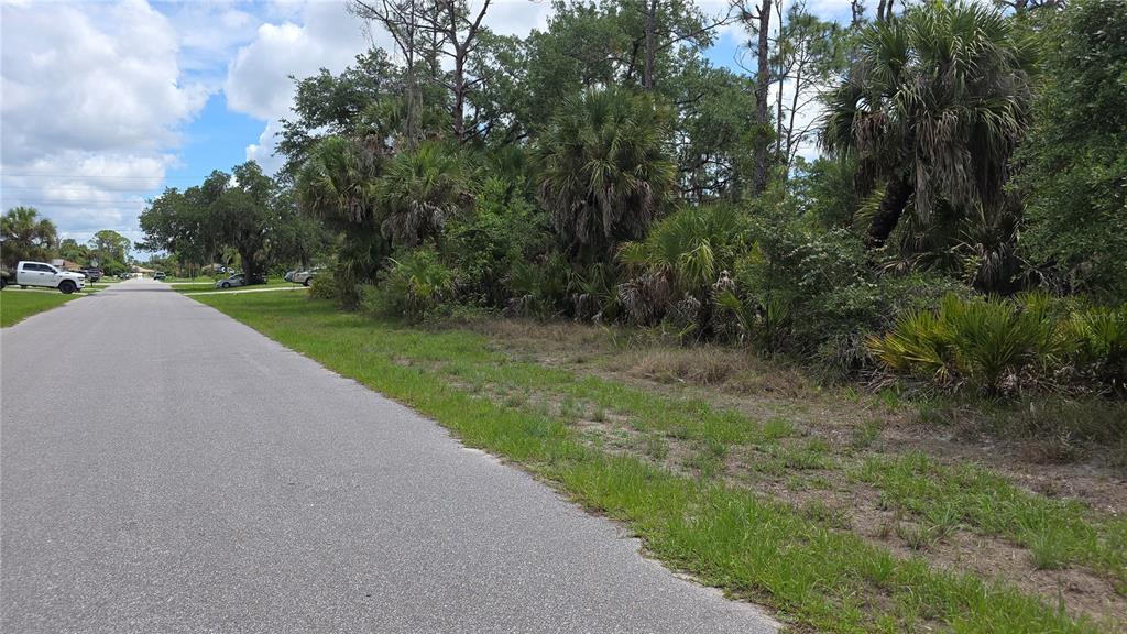A paved road runs alongside a vacant, wooded lot with palm trees and native vegetation — 1064 BORDER STREET, PORT CHARLOTTE, FL
