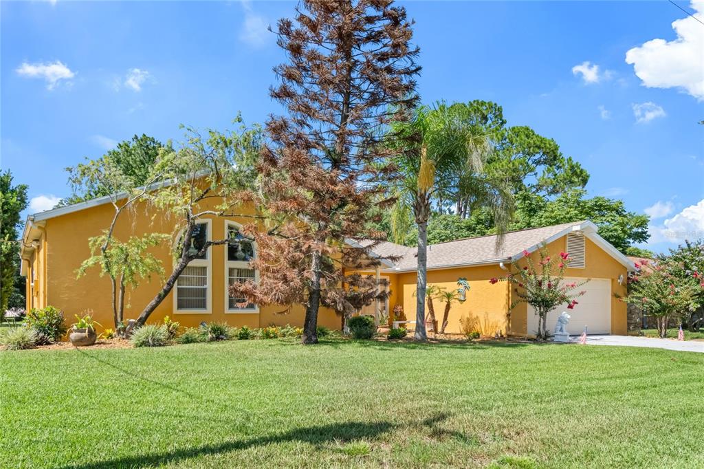 A yellow single-story house with a garage and a large pine tree in the yard — 24 FOSTER LANE, PALM COAST, FL