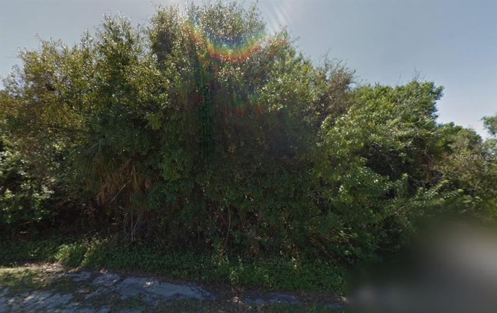 A dense thicket of trees and overgrown vegetation occupies a vacant residential lot — 22453 ASTER AVENUE, PUNTA GORDA, FL