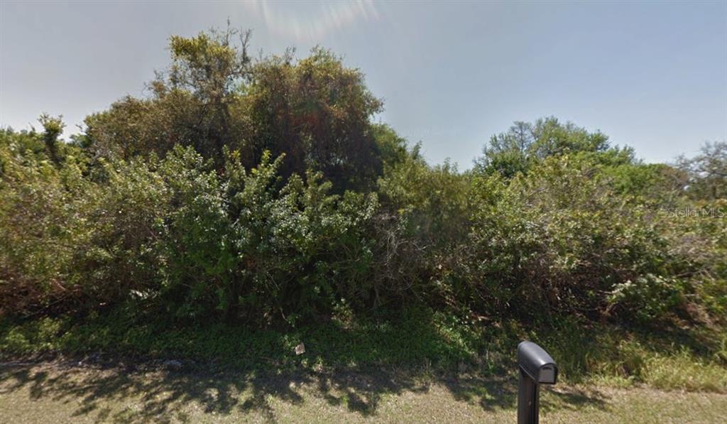 A dense, overgrown vacant lot with trees and shrubs viewed from the street — 22453 ASTER AVENUE, PUNTA GORDA, FL