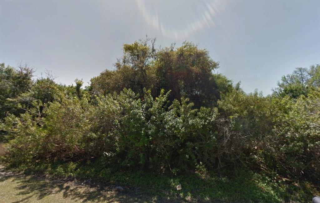 A dense, overgrown patch of trees and shrubs occupies a vacant residential lot — 22453 ASTER AVENUE, PUNTA GORDA, FL