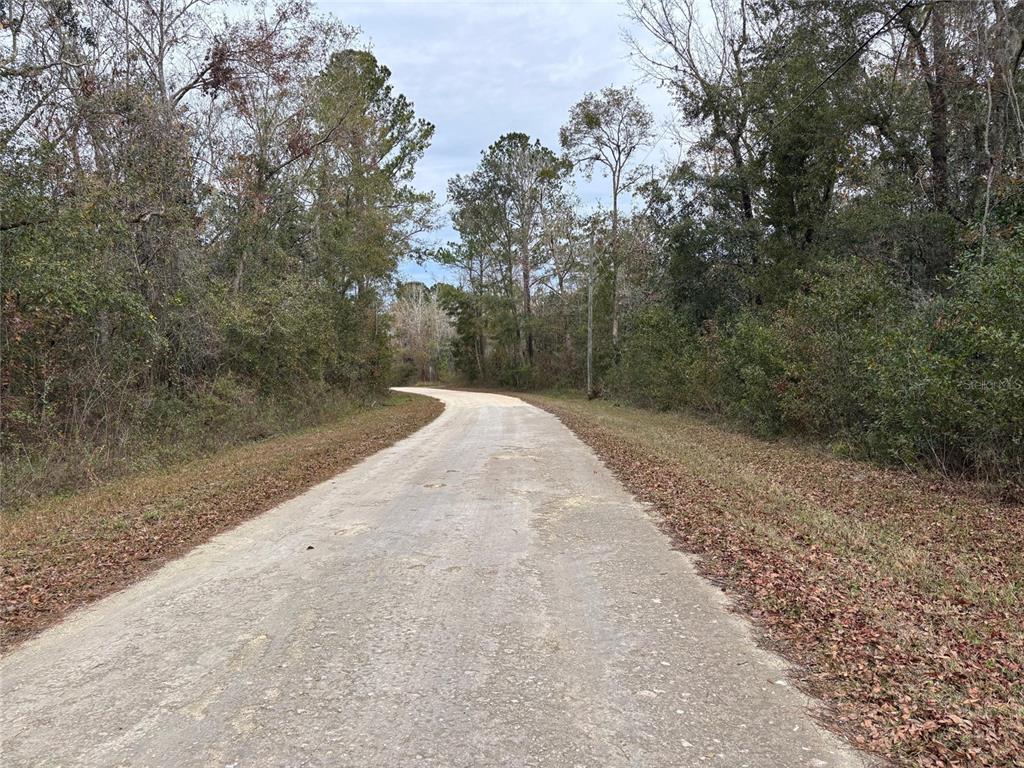 A narrow, unpaved dirt road winds through a dense, wooded area under a cloudy sky — Lot 3 CAROLINA DOVE ROAD, WEEKI WACHEE, FL