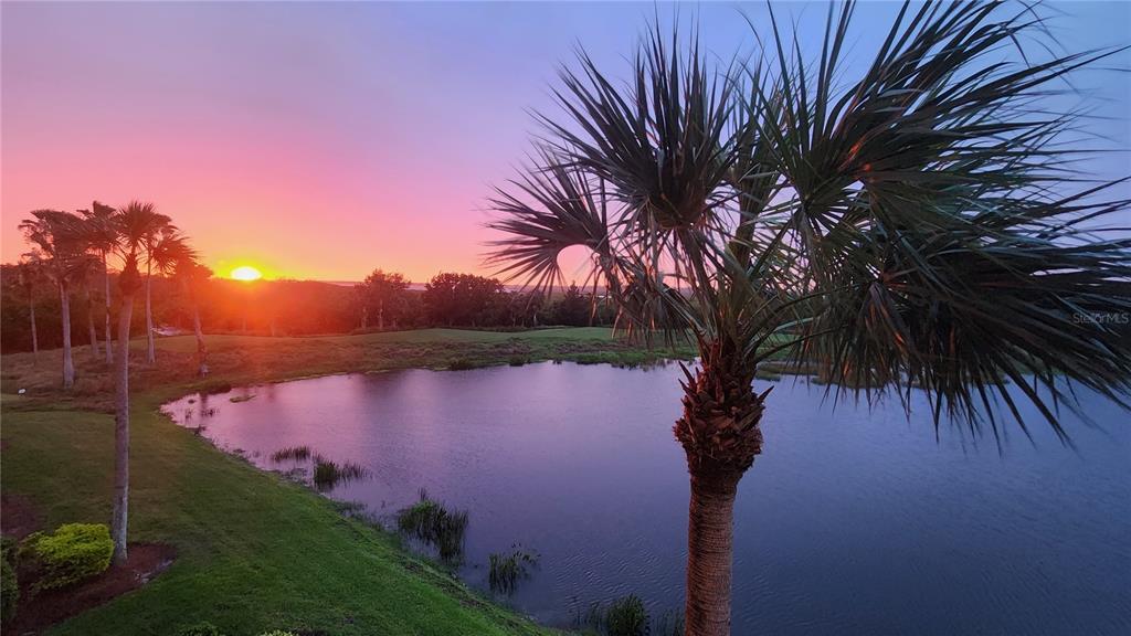 A palm tree stands in the foreground overlooking a pond at sunset — 7005 RIVER HAMMOCK DRIVE UNIT 305, BRADENTON, FL