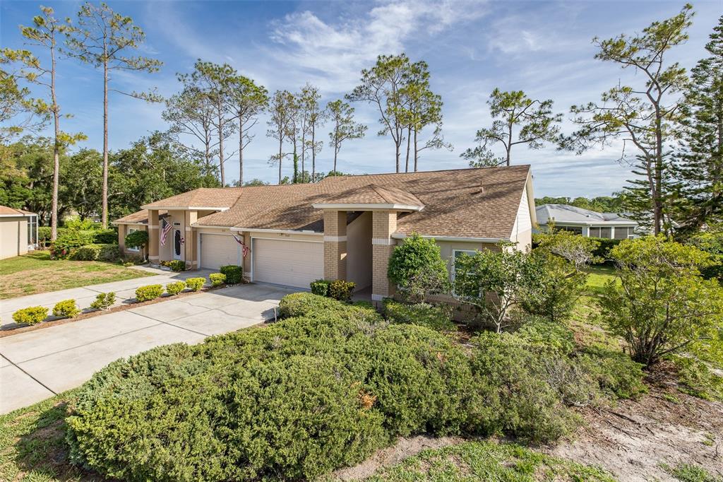 A tan single-story duplex with a shingled roof and concrete driveways sits among trees — 9519 SCENIC PINE COURT, NEW PORT RICHEY, FL