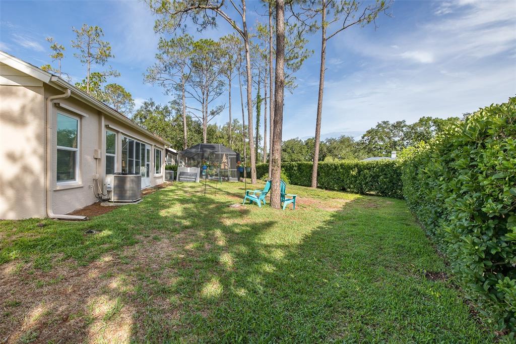 A backyard features a grassy lawn, tall pine trees, a hedge, and two turquoise chairs — 9519 SCENIC PINE COURT, NEW PORT RICHEY, FL
