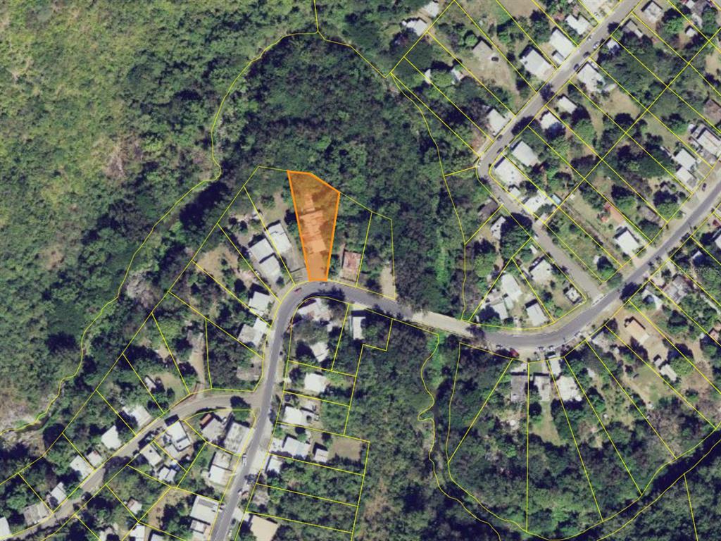 An aerial map view shows a highlighted parcel of land situated along a curved road — Barrio Quebrada Yeguas LA PLENA 94, SALINAS, PR