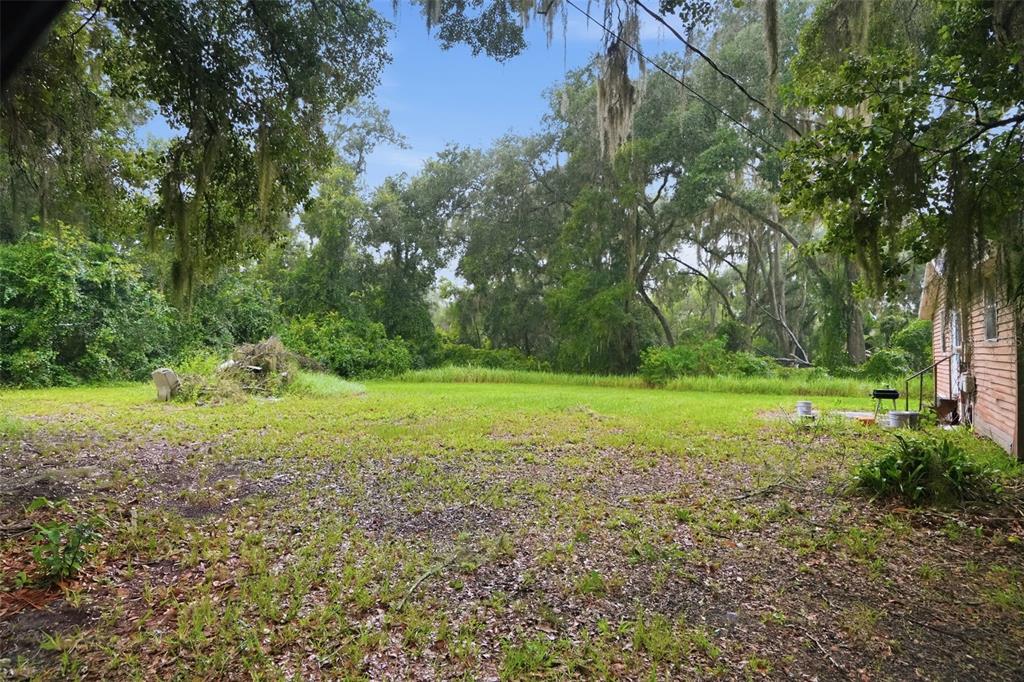 A grassy backyard features scattered leaves, a small grill, and dense trees with hanging moss — 5818 CHERRY ROAD, LAKELAND, FL