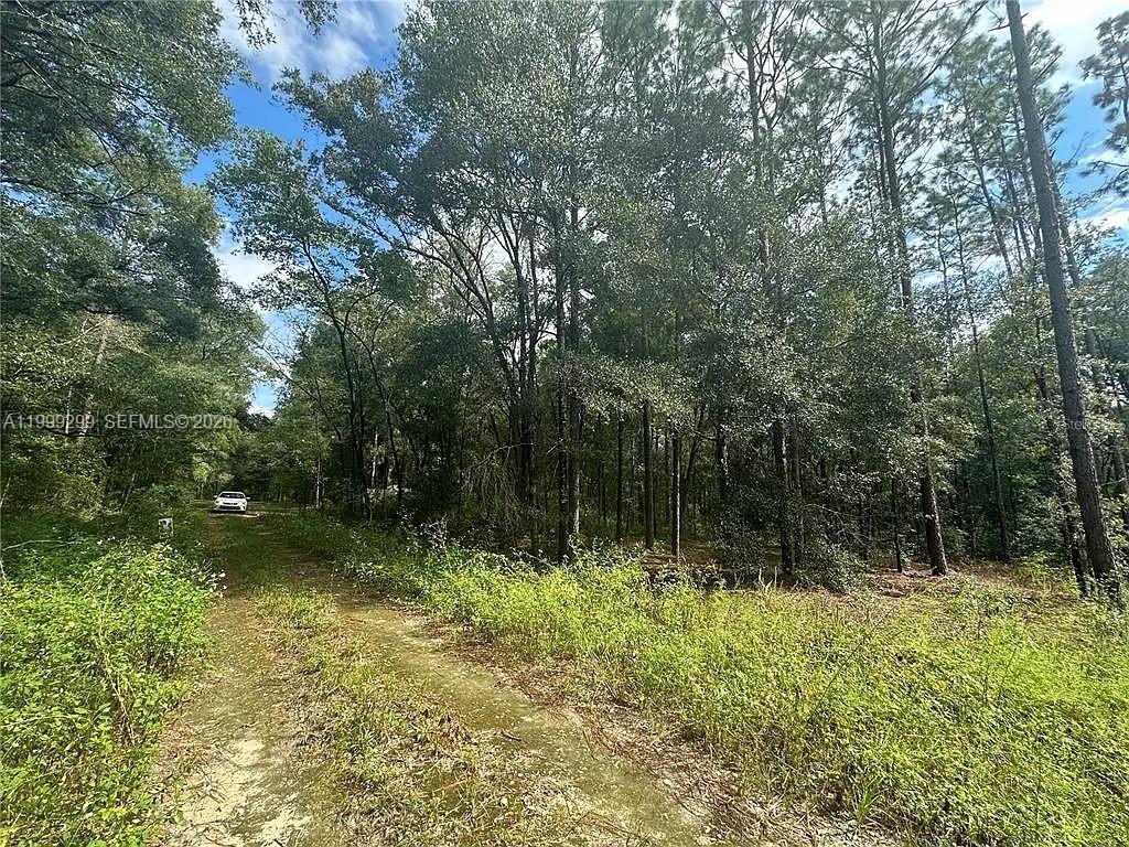 A dirt path leads through a wooded area toward a parked white car — 0 SW 153rd AVE, Ocala FL 34481, OCALA, FL