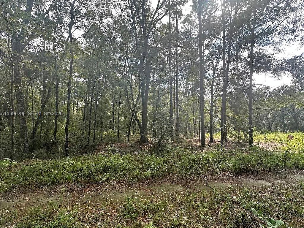 A wooded lot with dense trees and low-lying vegetation viewed from a paved road — 0 SW 153rd AVE, Ocala FL 34481, OCALA, FL