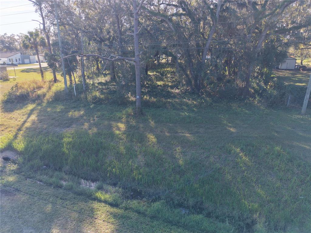 An elevated view of a grassy, partially wooded vacant lot with a drainage ditch — 15192 E COLONIAL DR, ORLANDO, FL