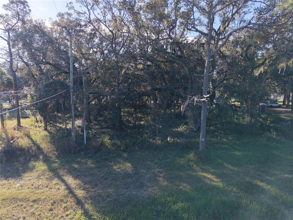 A grassy, partially wooded vacant lot features several large trees and utility poles — 15192 E COLONIAL DR, ORLANDO, FL