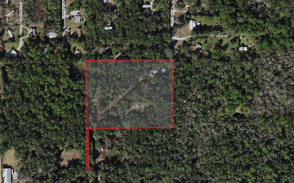 An aerial view shows a large, wooded rectangular property outlined in red — 1746 S PALM AVENUE, HOMOSASSA, FL
