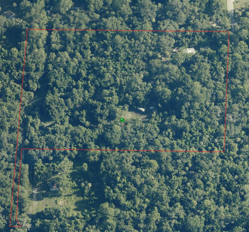 An aerial view shows a wooded lot outlined in red with a small clearing — 1746 S PALM AVENUE, HOMOSASSA, FL