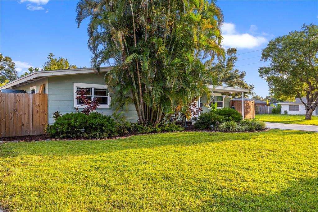 A single-story house with light green siding, a large palm tree, and a wooden fence — 5154 33RD AVENUE N, ST PETERSBURG, FL