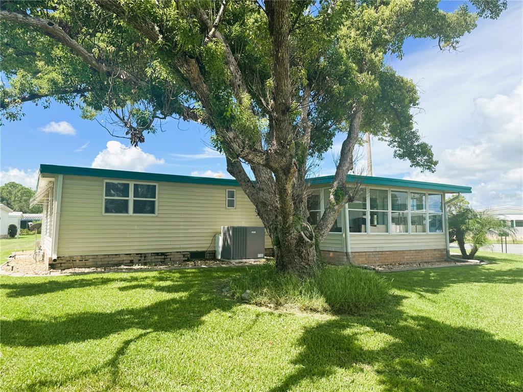 A single-story house with light siding and a large tree in the front yard — 136 DOGWOOD TRAIL, LEESBURG, FL