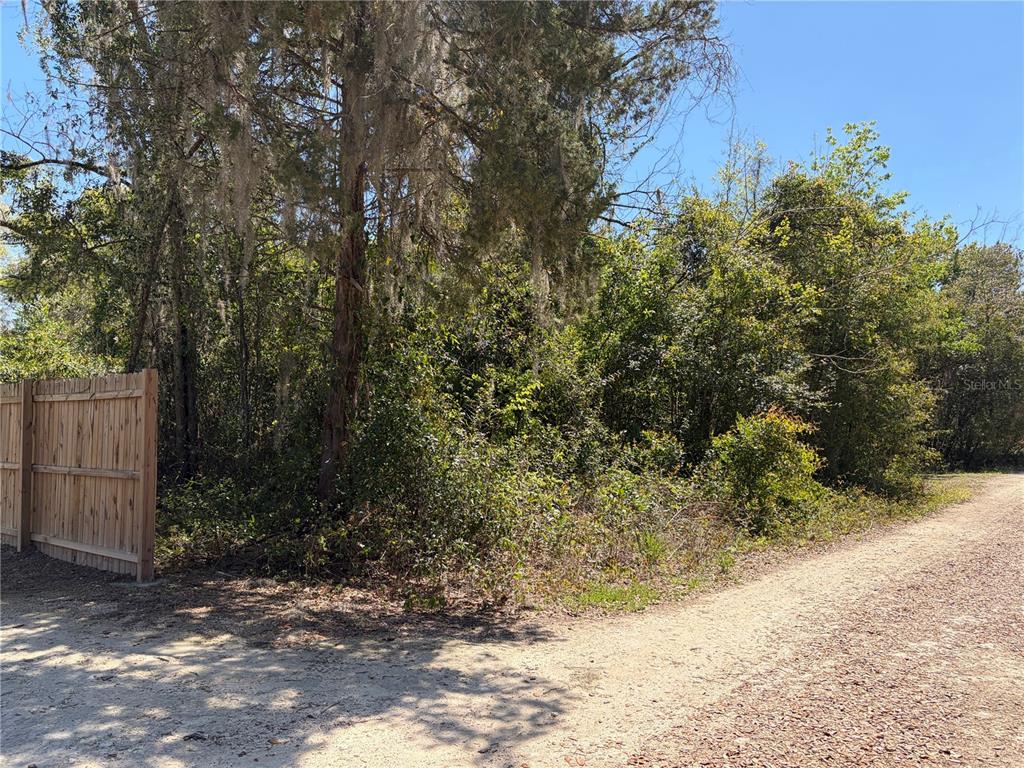 A dirt road runs alongside a wooded lot bordered by a wooden privacy fence — 300blk NW 245TH TERRACE, NEWBERRY, FL
