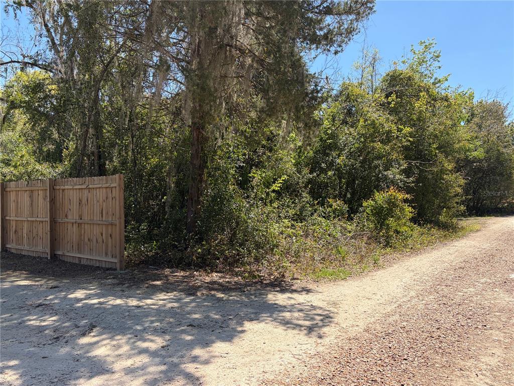 A wooden fence stands next to a dense, wooded lot bordering a dirt road — 300blk NW 245TH TERRACE, NEWBERRY, FL