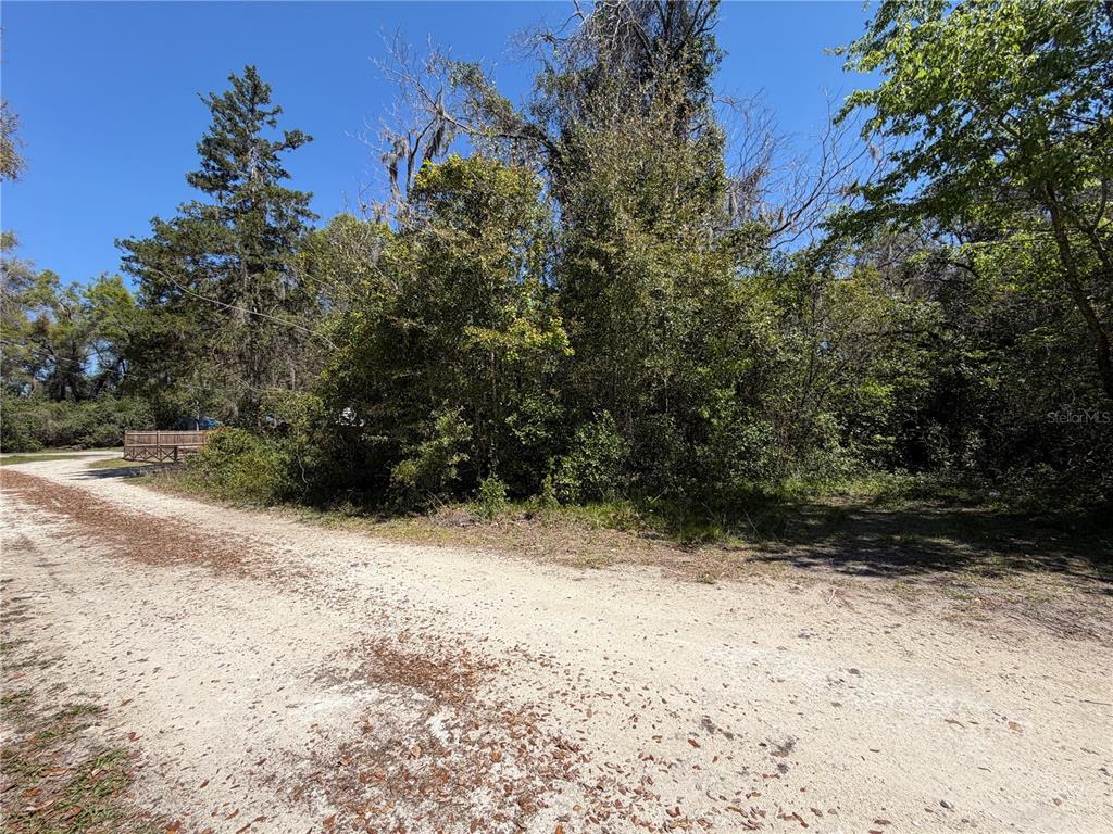 A dirt road leads to a densely wooded lot with a wooden fence in the background — 300blk NW 245TH TERRACE, NEWBERRY, FL