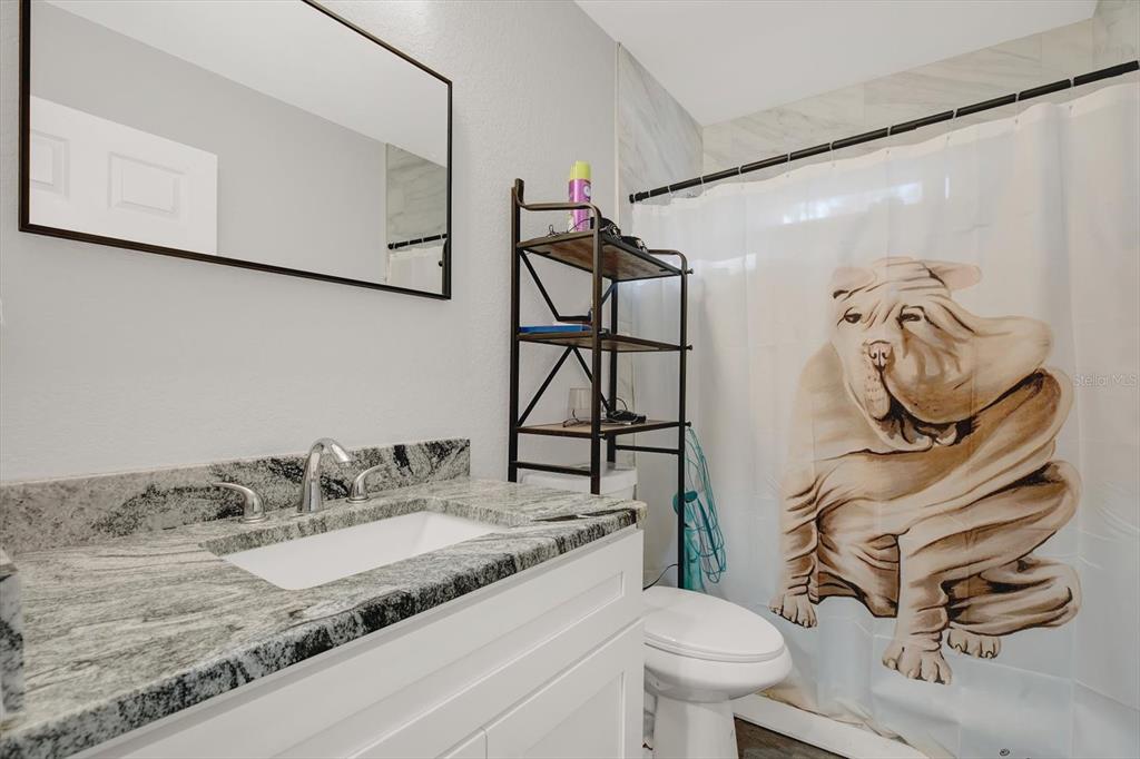 A bathroom features a granite vanity, a white cabinet, a mirror, and a dog-themed shower curtain — 801 OSCEOLA AVENUE, WILDWOOD, FL