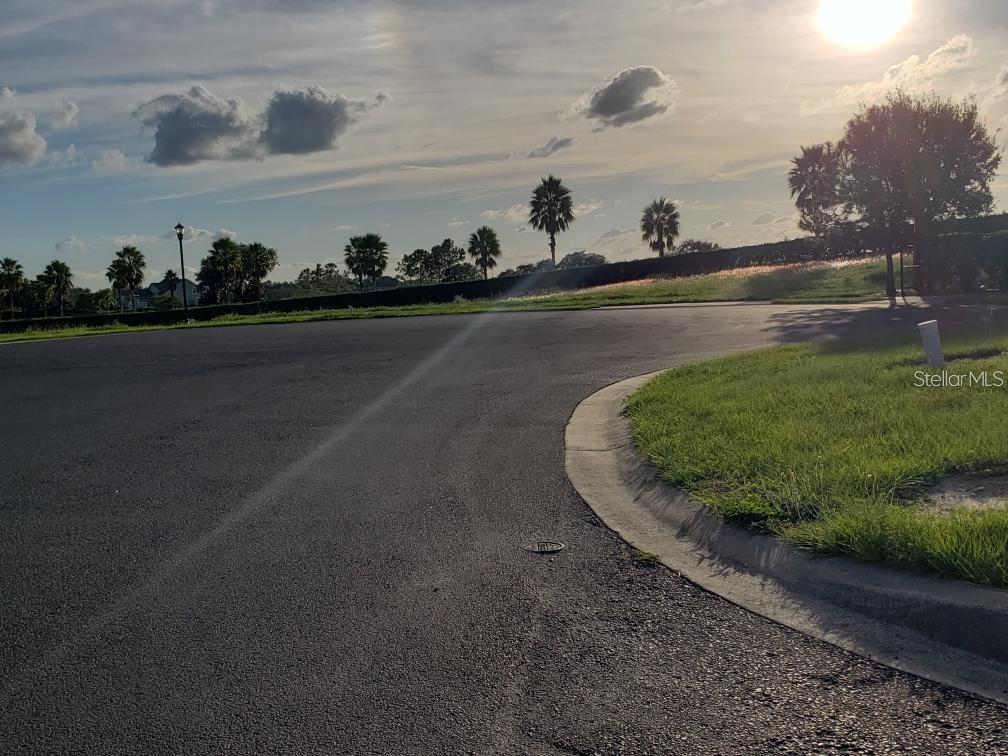 A paved road curves past a grassy area with palm trees under a sunny sky — 295 SPINNAKER COURT, AUBURNDALE, FL