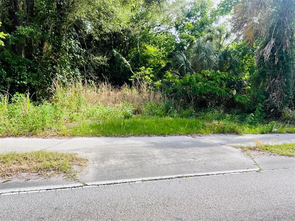 A concrete driveway apron leads to a vacant, heavily wooded lot — TBD CELERY AVENUE, SANFORD, FL