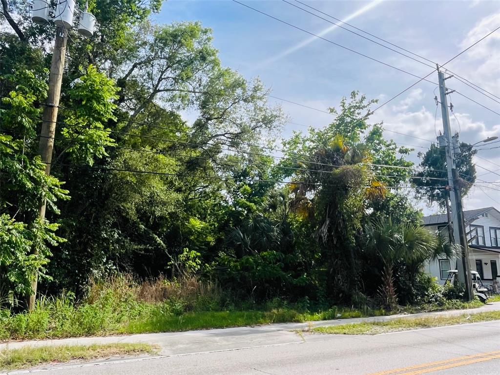 A vacant, wooded lot sits between a utility pole and a house along a road — TBD CELERY AVENUE, SANFORD, FL