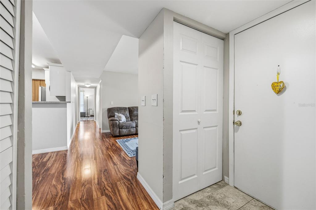 An entryway with wood-look flooring leads to a living area and a white closet door — 455 ALT 19 S UNIT 163, PALM HARBOR, FL