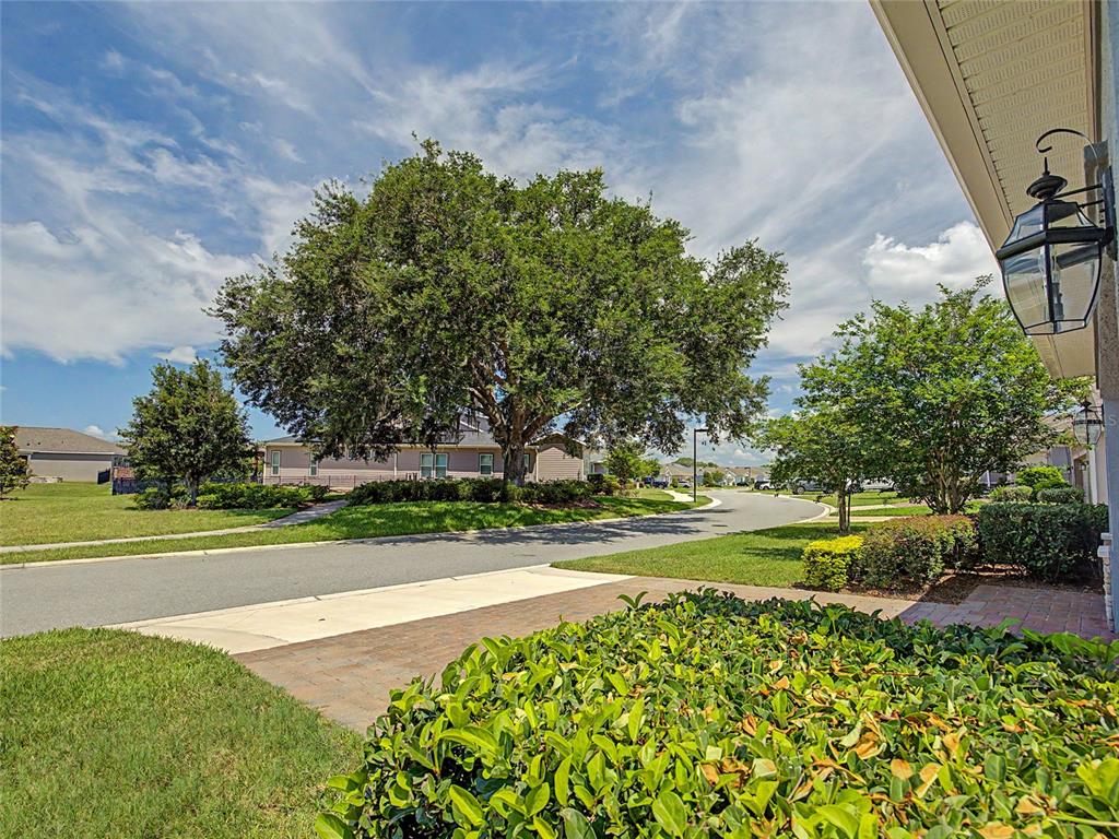 A view from a porch looking out at a suburban street with large trees — 4235 NW 55TH COURT, OCALA, FL