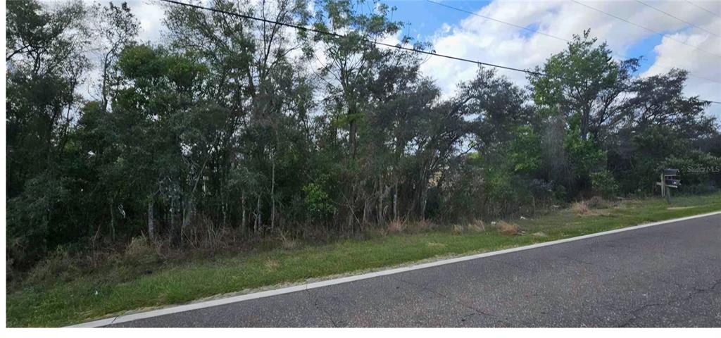 MYSTERY HOUSE ROAD
