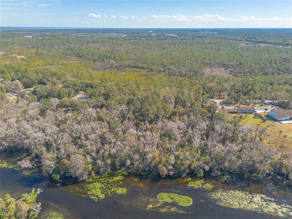 An aerial view shows a wooded lot bordering a river with scattered aquatic vegetation — 176 WEKIVA PARK DRIVE, SANFORD, FL
