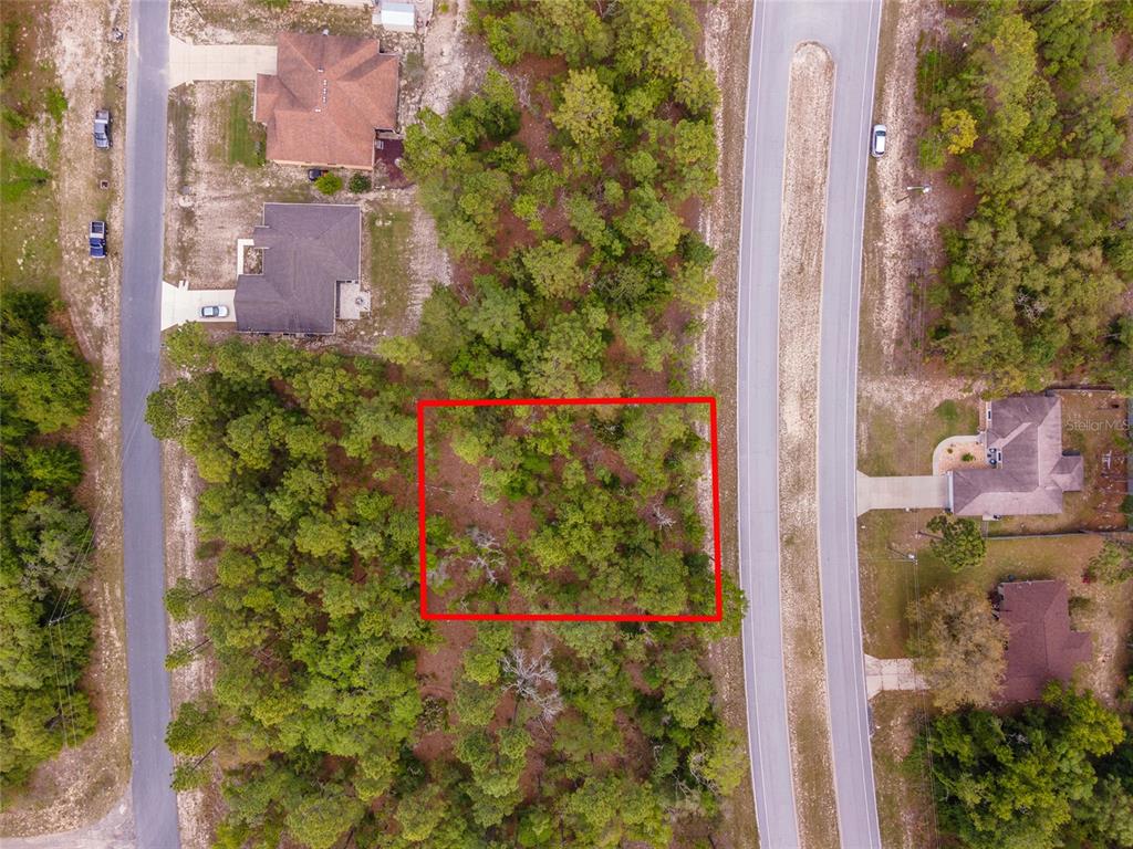An aerial view shows a rectangular, wooded vacant lot outlined in red between two roads — 9200 N CITRUS SPRINGS BOULEVARD, CITRUS SPRINGS, FL