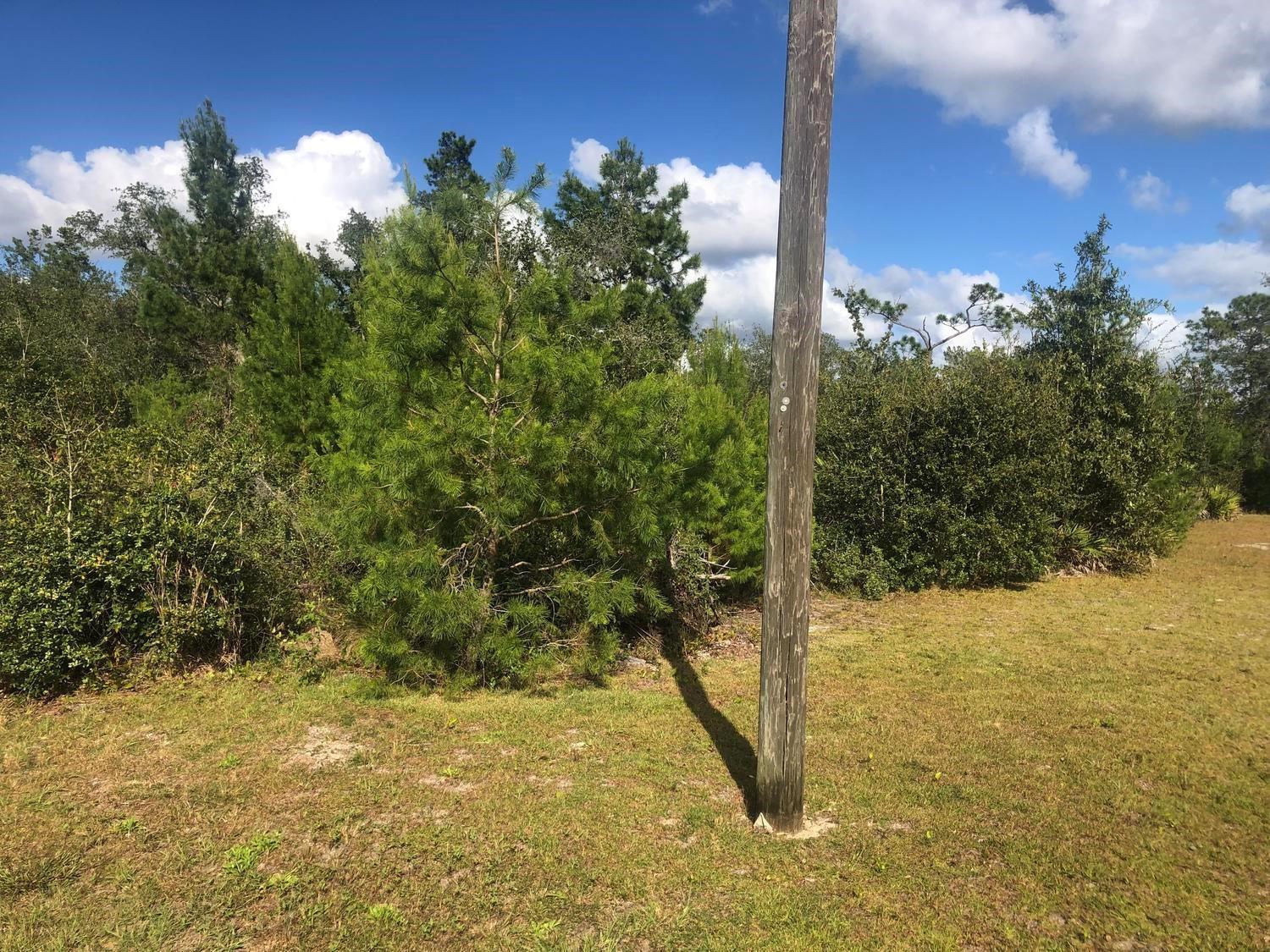 A wooden utility pole stands in a grassy field in front of a wooded area — 204 Usina Avenue, FL 32148, FL