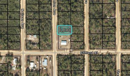 This is an aerial map view showing a rectangular land parcel highlighted in a residential area — 204 Usina Avenue, FL 32148, FL