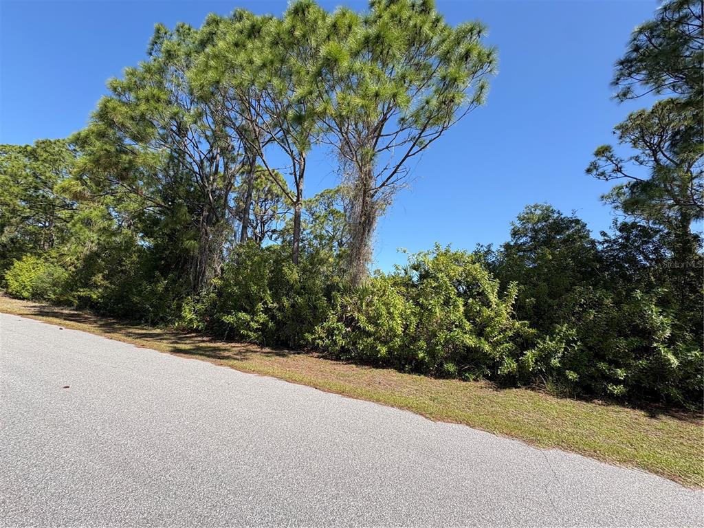 A paved road runs alongside a wooded lot with tall pine trees and dense vegetation — 14060 KLEFF AVENUE, PORT CHARLOTTE, FL