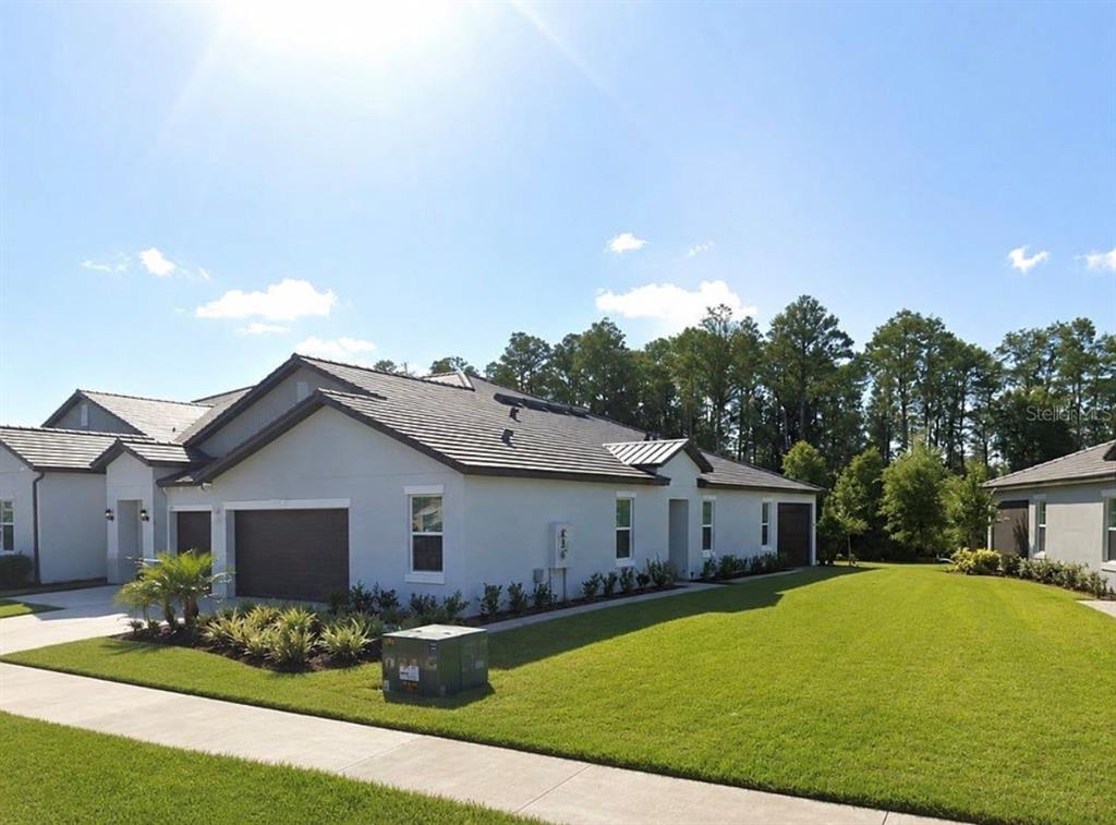 A single-story house with a gray exterior, a dark tiled roof, and a green lawn — 16890 FORGE SURF STREET, LAND O LAKES, FL