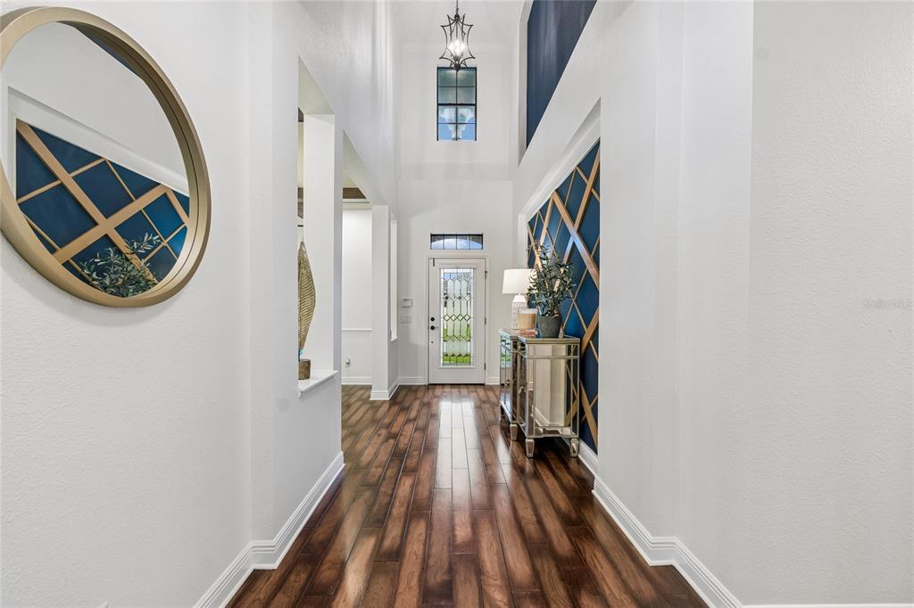 1657 FEATHER GRASS LOOP, LUTZ, FL — photo 4 of 30
