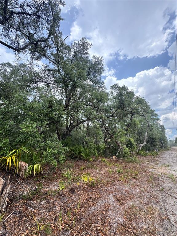 A wooded lot with mature trees and native vegetation borders a sandy dirt road — TBD SW 71ST ROAD, OCALA, FL