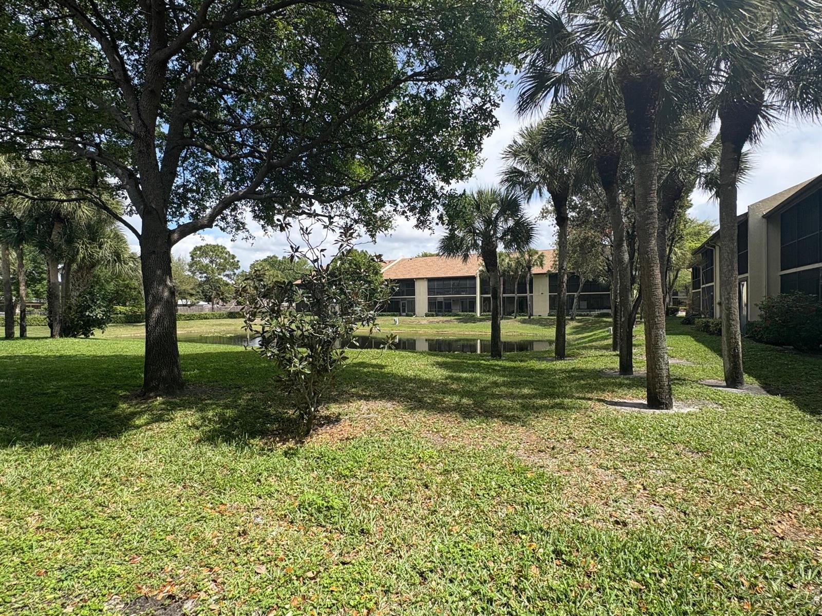 A grassy lawn with trees and palms leads to a pond in front of apartment buildings — 7831 Willow Spring Drive # 526, Lake Worth FL 33467, LAKE WORTH, FL
