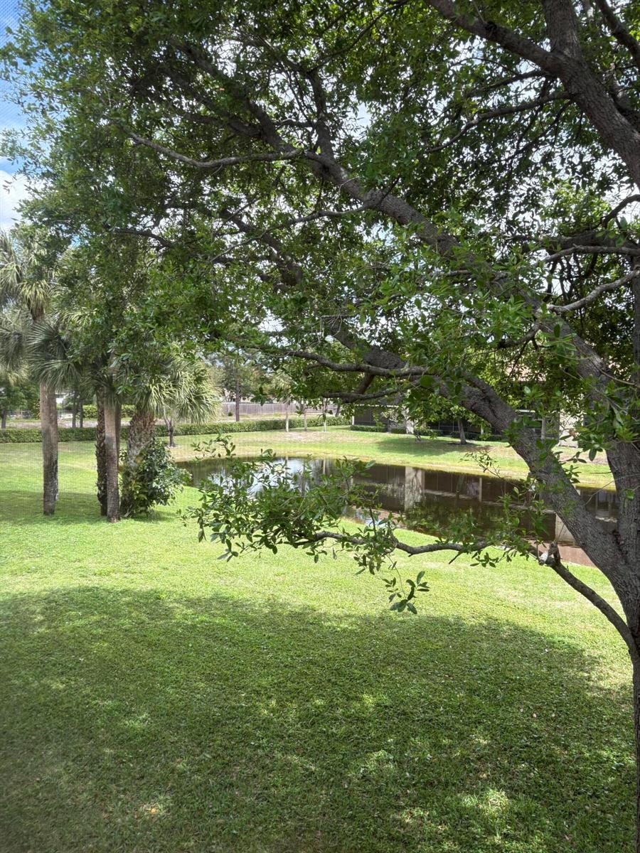 A grassy backyard features a small pond, palm trees, and a large shade tree — 7831 Willow Spring Drive # 526, Lake Worth FL 33467, LAKE WORTH, FL
