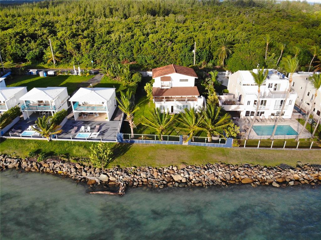 An aerial view shows several waterfront houses with pools and palm trees along a rocky shore — 968 CAMINO LAS PICUAS UNIT 14, RIO GRANDE, PR