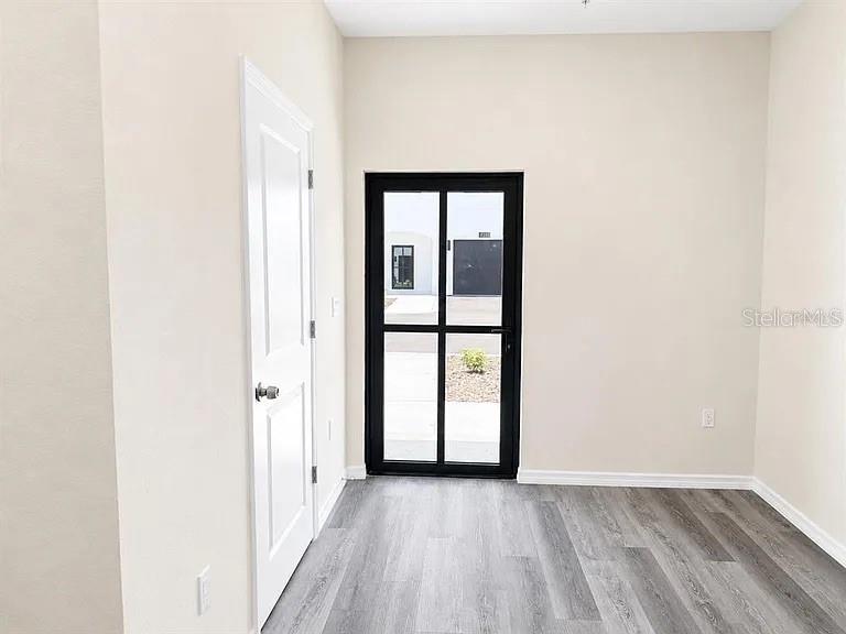 A room with light-colored walls, gray wood-look flooring, a white door, and a glass-paned door — 4365 CAMBIO GARDENS COURT, TAMPA, FL