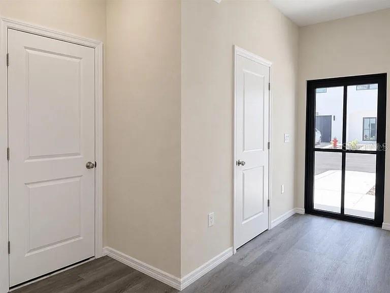 A hallway features two white interior doors, light-colored walls, and gray wood-look flooring — 4365 CAMBIO GARDENS COURT, TAMPA, FL