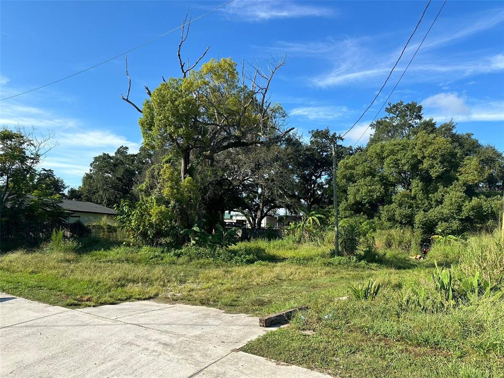 A vacant, grassy lot features a large tree and dense vegetation under a blue sky — 32 N PINE HILLS ROAD, ORLANDO, FL