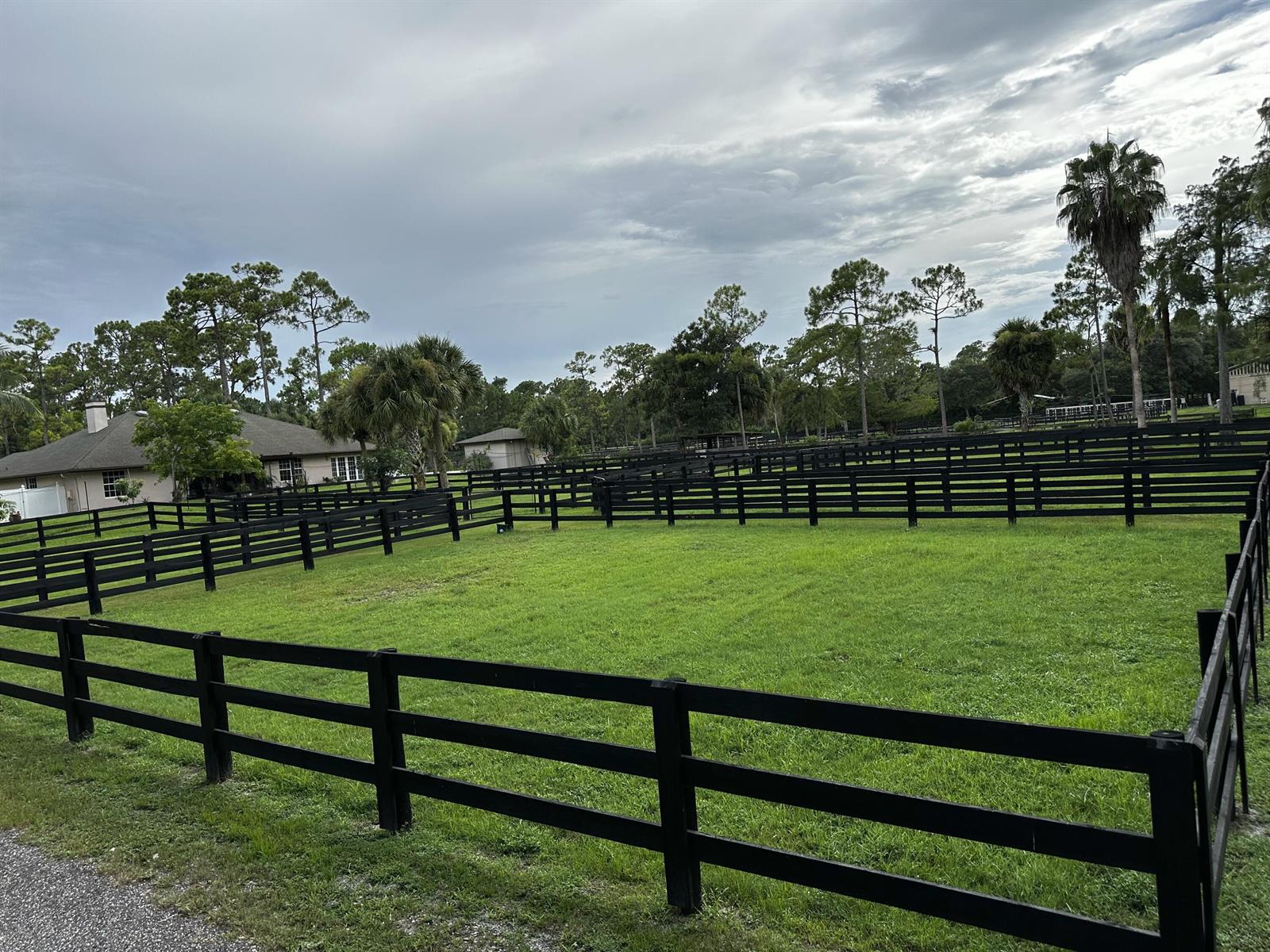 A grassy paddock is enclosed by black wooden fencing with a house in the background — 13009 Collecting Canal Road, FL 33470, FL