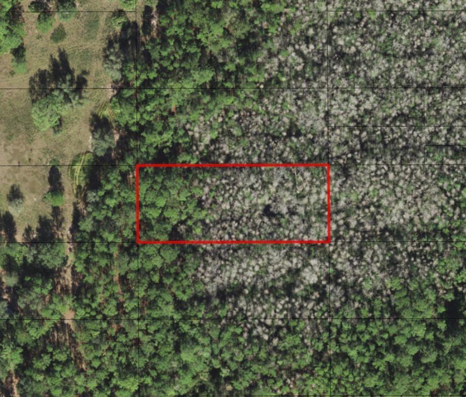 This aerial map shows a rectangular plot of land featuring a mix of forest and clearing — 0 Old Grade Road, FL 33868, FL